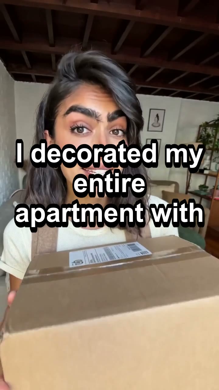 Decorated an Apartment for Less